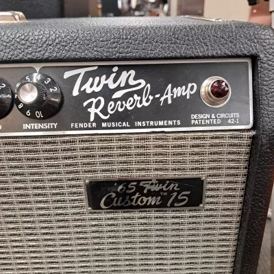 Fender '65 Twin Custom 15 2